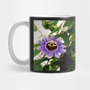 Purple Haze Passifloras Mug